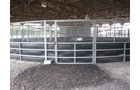 Property photo 66 - 80 Acres Offered in 4 Tracts - Horse Farm
